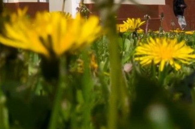 konkursy recytatorskie i przeglądy piosenki